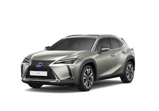 LEXUS UX300H