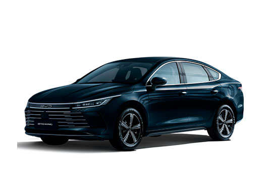BYD KING GS